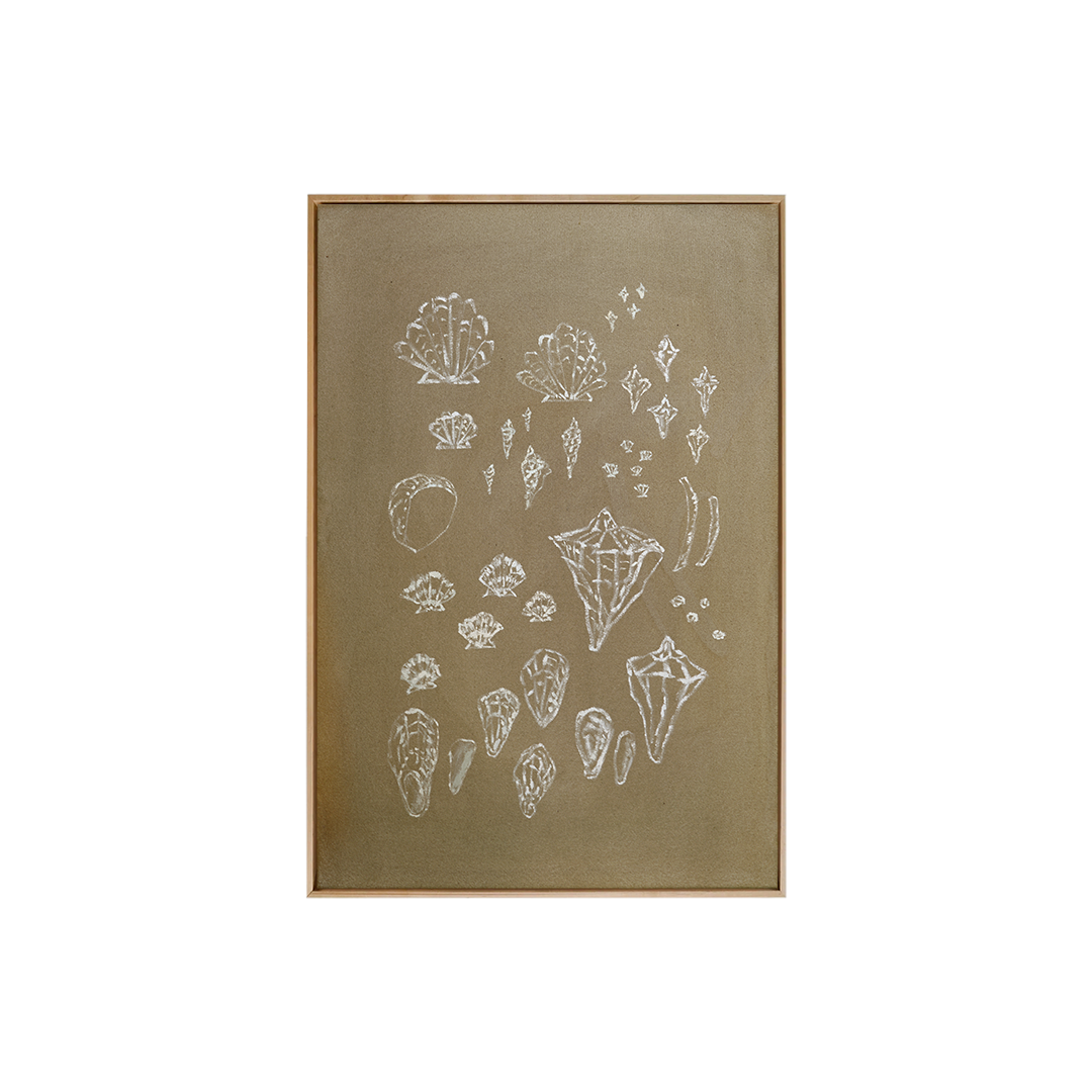 Sea Treasures
