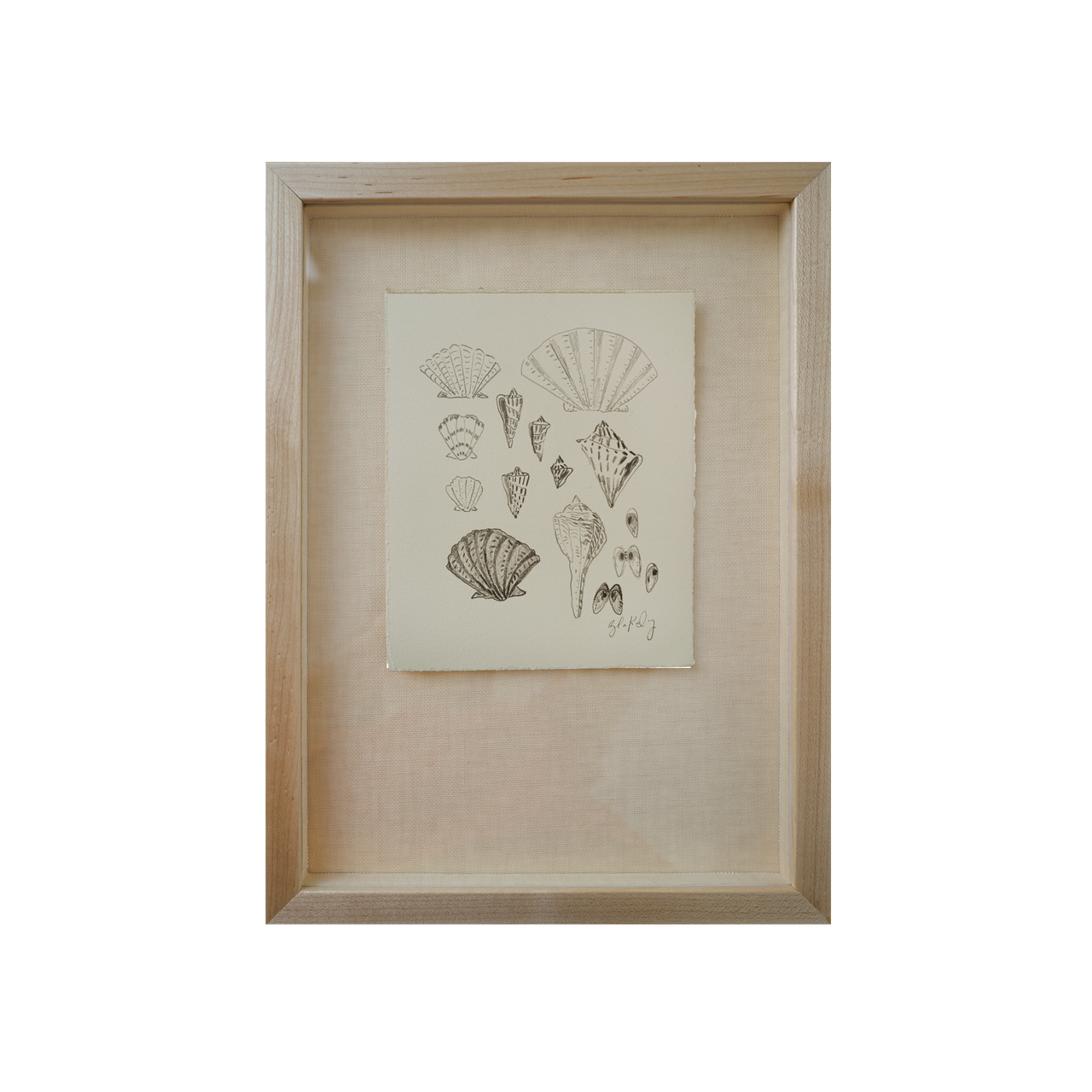 Shell Collection - No. 3