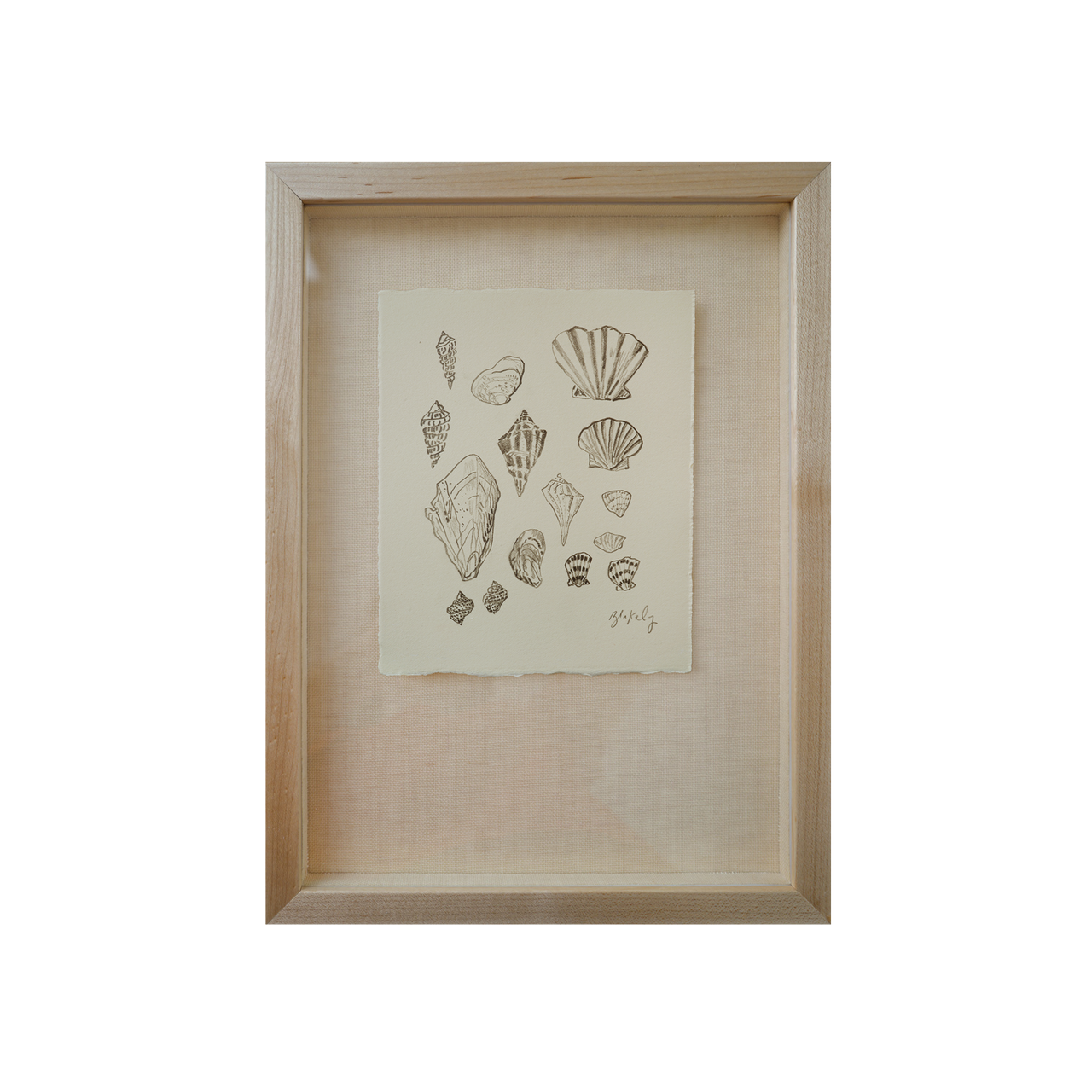 Shell Collection - No. 4