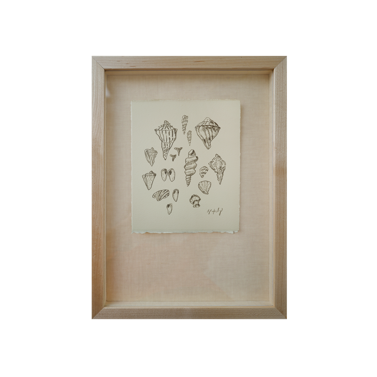 Shell Collection - No. 5