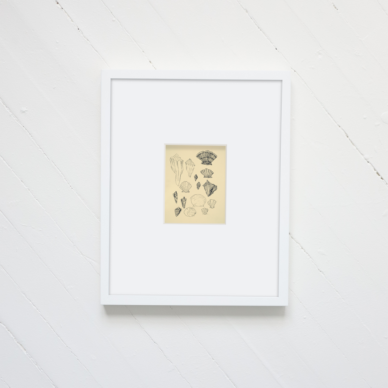 "Shell i" Print