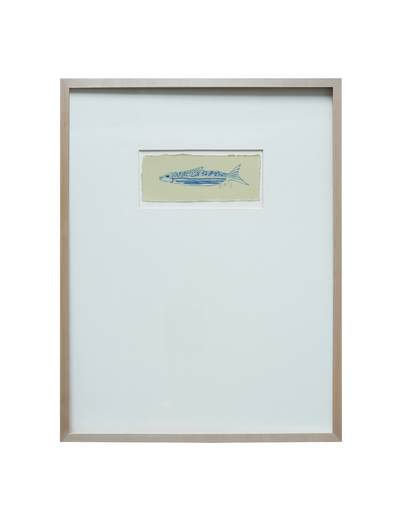 Sardine Study - No. 3