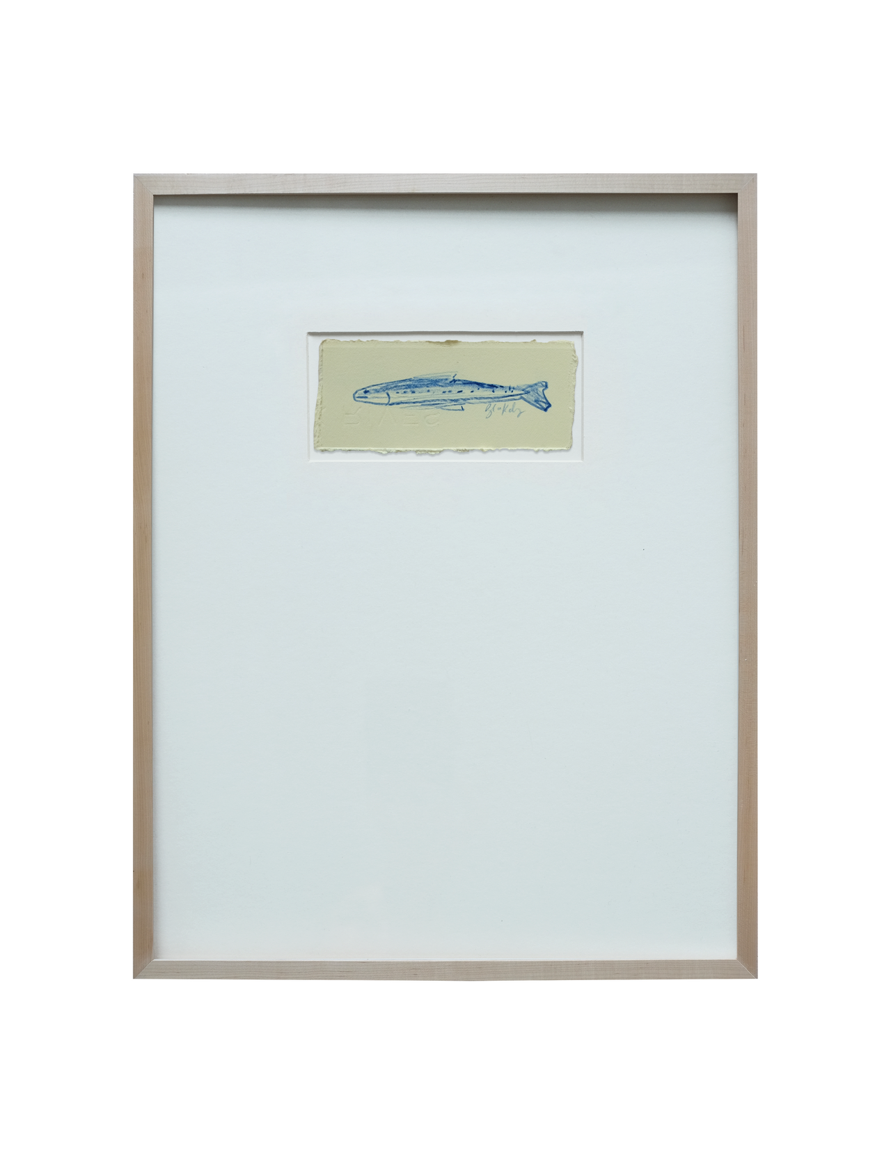 Sardine Study - No. 4