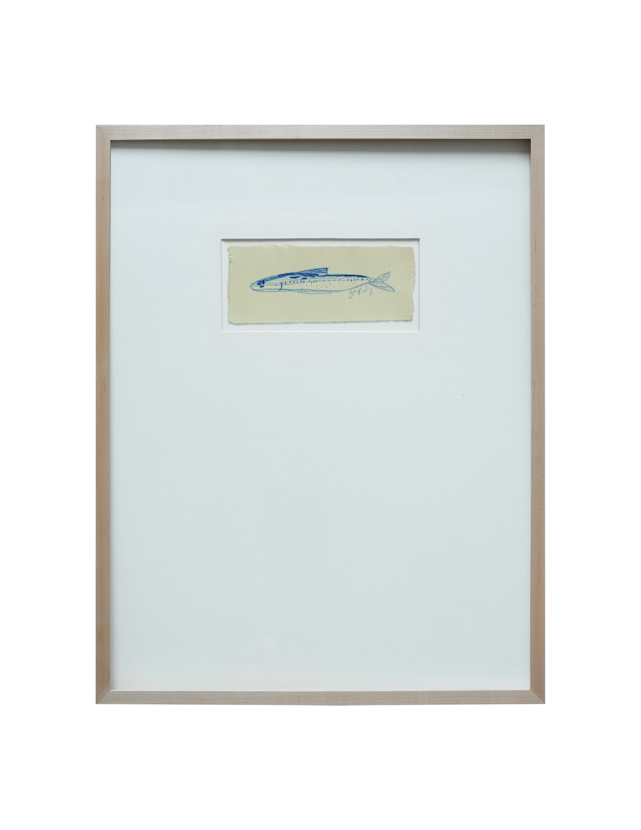 Sardine Study - No. 6