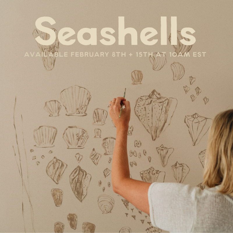 Seashells 2024 Lookbook
