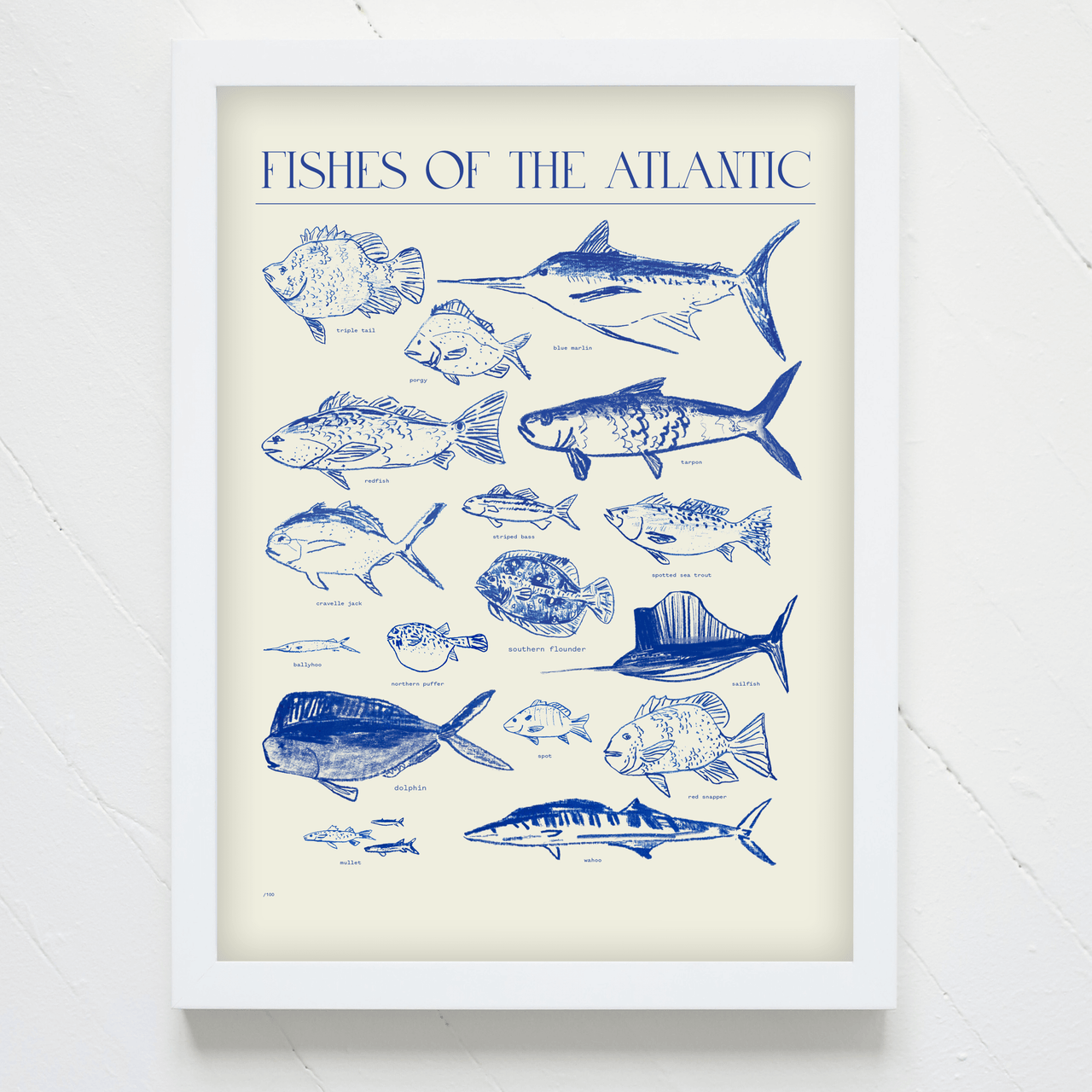 "Fishes of the Atlantic" Print